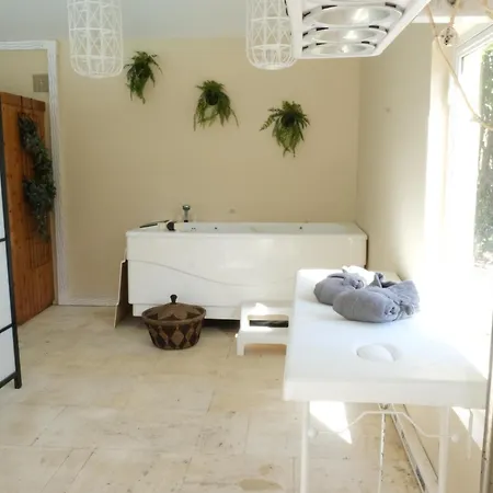 Superb Prestige With Indoor Heated Swimming Pool, Seminar And Tennis Court In Mouries, In The Alpilles In Provence - 16 People Country house *